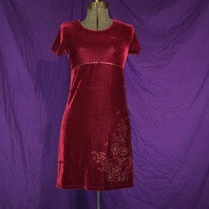 🎀EUC Basic Editions Velvety Dress